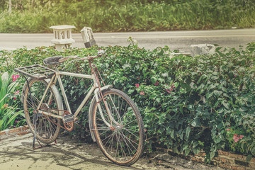 Fototapeta na wymiar Old bicycle parked next to bush and flowers.