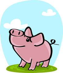 cute pig on grass