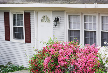 Fototapeta na wymiar pink flower blooming outside residential house in spring