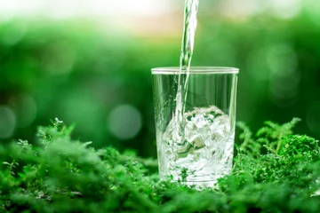 Fotobehang a glass of cool fresh water on natural green background © Cozine