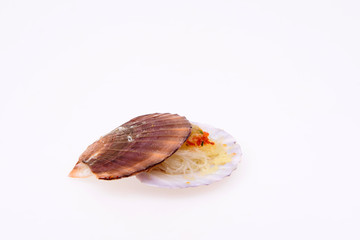 Scallops on a white background