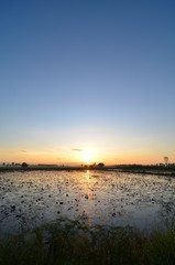 Fototapeta na wymiar Sunset with beautiful sky on lake, Thailand