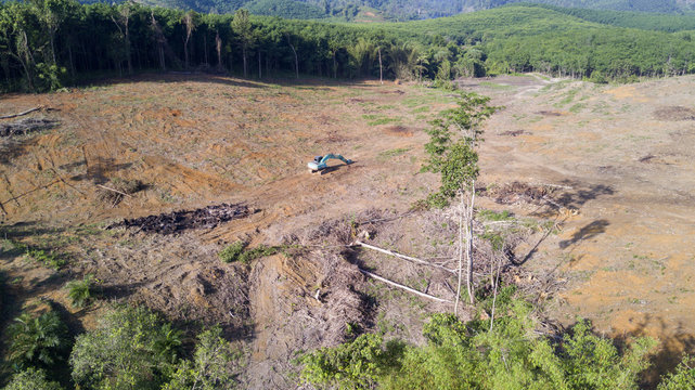 Deforestation. Logging. Aerial drone view of environmental destruction of rainforest