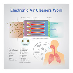 Electronic air cleaner work