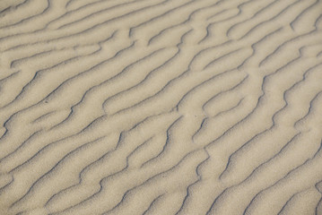 sand background
