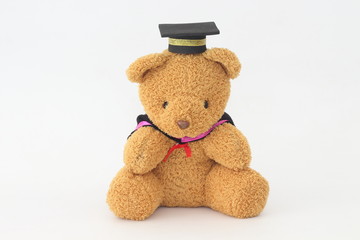 Brown bear wearing a graduation cap on a white background.