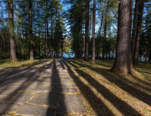 Stone steps leaving for the water in the autumn park