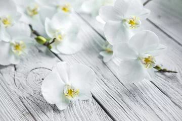 Fototapete Blumen und Pflanzen Weiße Orchidee auf Holzuntergrund