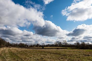 fields in country under blue sky with white clouds