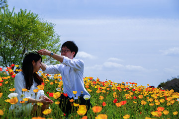 young Japanese couple in Flower garden "poppy"