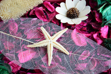 Fragrant sachet of pink petals