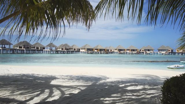 Palm Fronds Stir in the Breeze on Vaadhoo Island, Maldives, with Sound