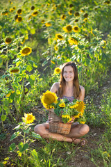 Cute beautiful young girl lady woman sitting on a field with big sunflowers.Brunette with blue eyes...