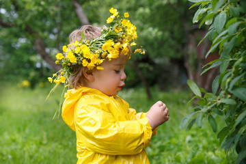 The kid in a yellow raincoat and wreath of buttercups collects berries from a bush on a summer day.