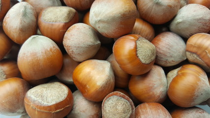 Stack of hazelnuts