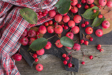 Fototapeta na wymiar Red apples and leaves
