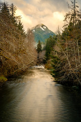 Golden hour falls on the Sol Duc River