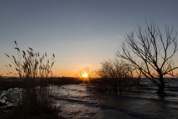 Sunset at the lake, with dark waves, windswept trees and plants, and sun low on the horizon