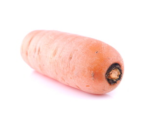 Carrot on white background