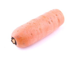 Carrot on white background