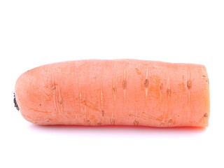 Carrot on white background