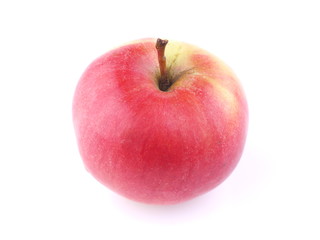 Apple on white background