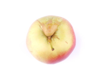 Apple on white background