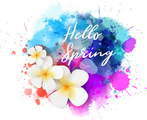 Purple and blue colored watercolor splash with frangipani tropical flowers and calligraphy message "Hello spring"