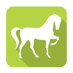 Horse icon