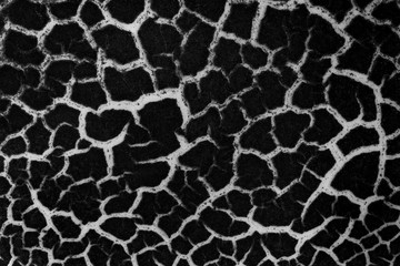 Fototapeta premium texture cracks a monochrome image