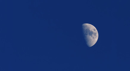 Fototapeta premium moon in the sky