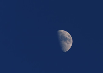 moon in the sky