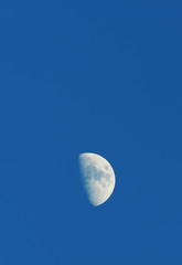 moon in the sky