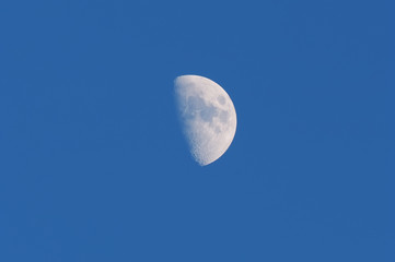 moon in the sky