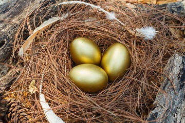 Naklejka na ściany i meble Eggs,Golden egg,nest egg.