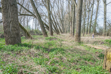 Durch Wildnis balancieren &ndash; Weg suchen
