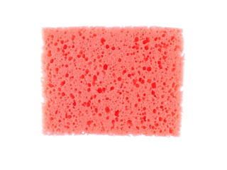 Children's sponge for washing on a white background