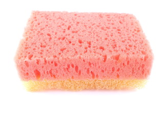 Children's sponge for washing on a white background