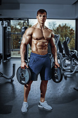 Male bodybuilder, fitness model trains in the gym