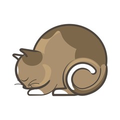 Cute sleepy brown cat
