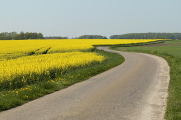 Country Road