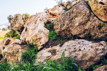 Big stones in a green grass are a confidence and tranquillity symbol