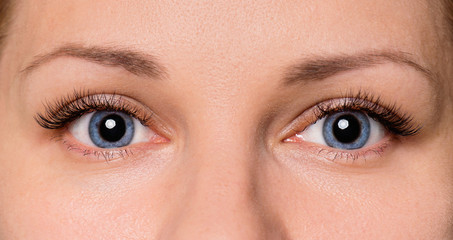 Obraz premium Close-up twarz pięknej młodej kobiety z pięknymi niebieskimi oczami i dużymi ładnymi rzęsami i brwiami. Makro oka ludzkiego - otwarte wyraziste spojrzenie.