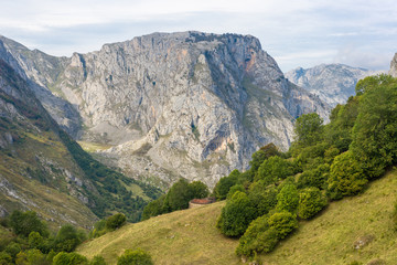 Hiking in the Los Picos de Europa up to the viewpoints, to see the mountain Naranjo de Bulnes and...