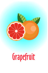 Grapefruit. Vector illustration. The whole of greypfrut and half of the fruit.