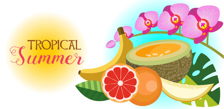The tropical summer. Vector illustration. Tropical flowers and fruits.
