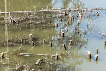 Valley flooded by the river. Natural disaster from mountain river by hydroelectric power station in Romania. Cut branches of trees above the surface of a wide flooded river.