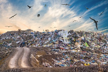 Pollution concept. Garbage pile in trash dump or landfill. Birds are flying around.