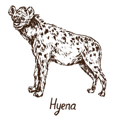 Spotted hyena standing, hand drawn doodle, sketch in pop art style, vector illustration