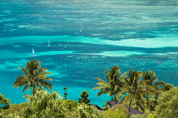 Hamilton Island Resort Queensland Australia